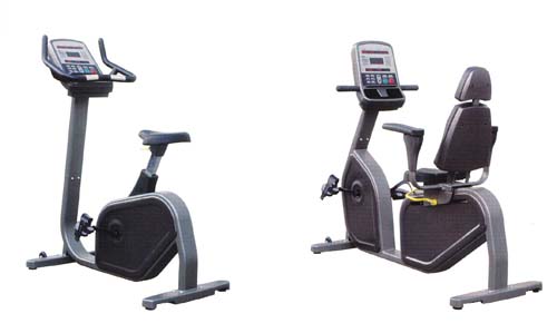 0031 PU 300  UPRIGHT BIKE
