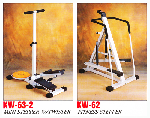 01 PORTA STEPPER CUM TWISTER and  FITTNESS STEPPER (2)