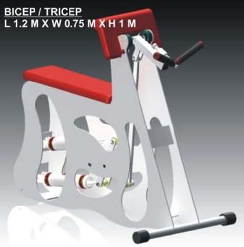 02Bicep - tricep
