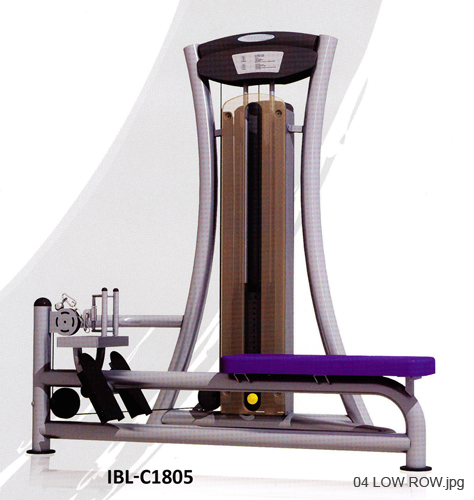 04 LOW ROW