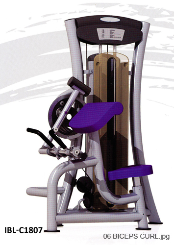06 BICEPS CURL