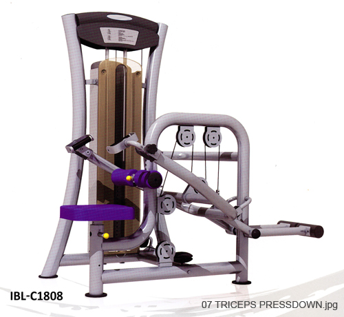 07 TRICEPS PRESSDOWN