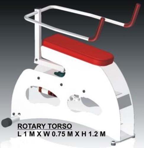 10Rotary torso