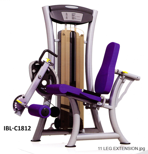 11 LEG EXTENSION