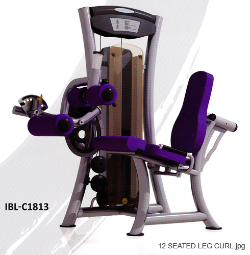12 SEATED LEG CURL
