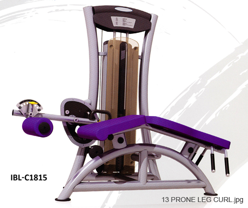 13 PRONE LEG CURL
