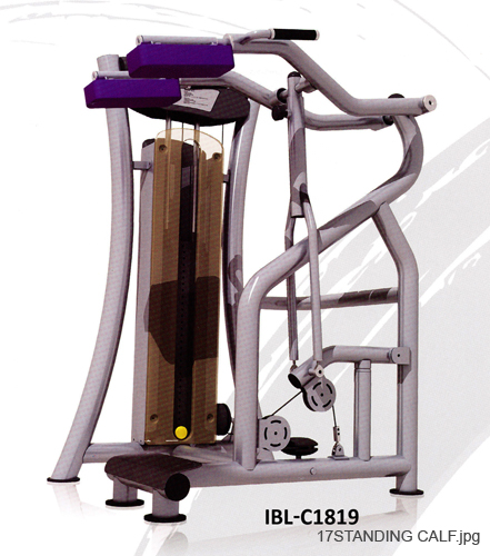 17STANDING CALF