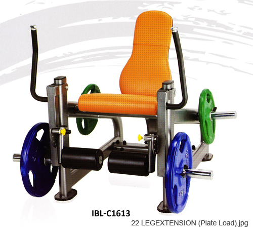 22 LEGEXTENSION (Plate Load)