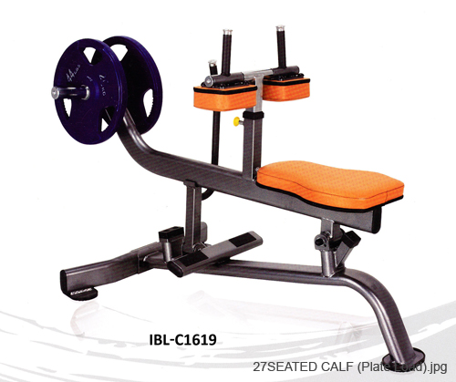27SEATED CALF (Plate Load)